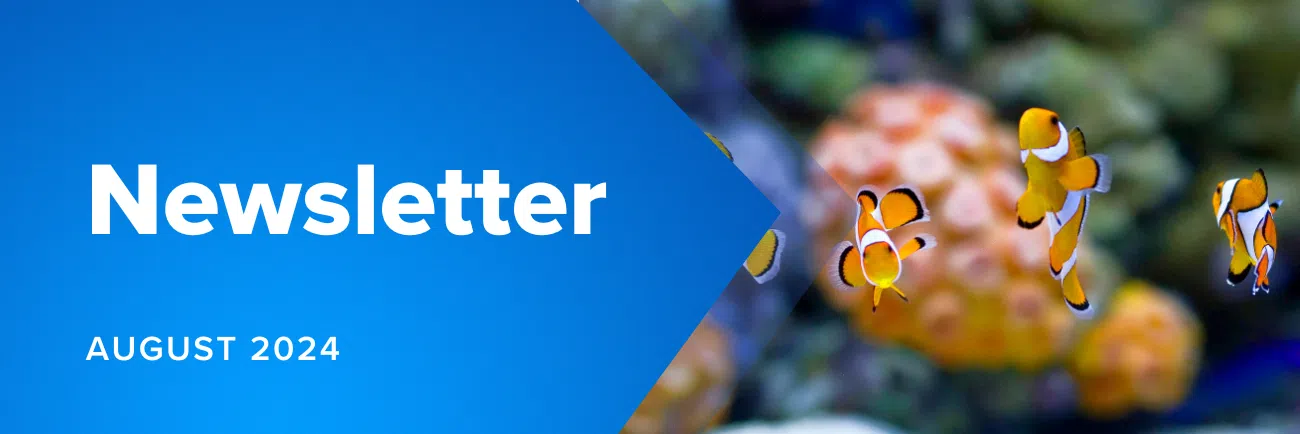 Aug 2024 Newsletter Website Banner (1300 × 434 Px) - MicroAccounting