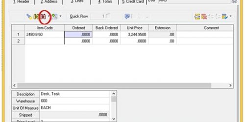 Sales Order Entry Window | MicroAccounting