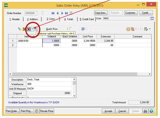 Sales Order Entry Window | MicroAccounting