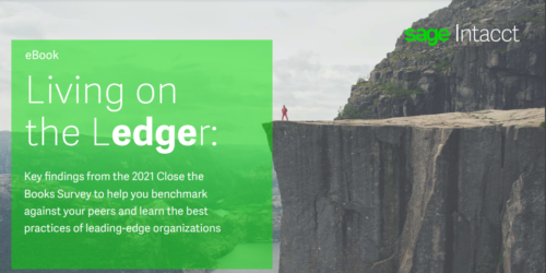 Living on the Ledger - Micro Accounting.webp