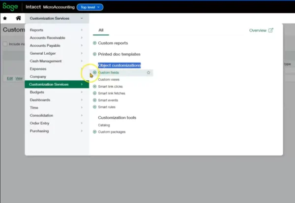 Custom Fields 1 - MicroAccounting