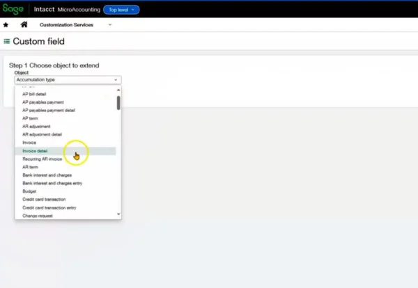 Custom Fields 2 - MicroAccounting