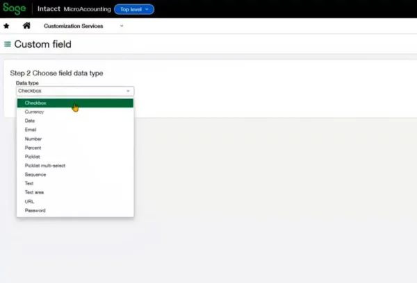 Custom Fields 3 - MicroAccounting
