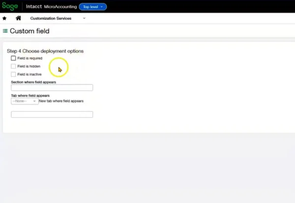 Custom Fields 5 - MicroAccounting