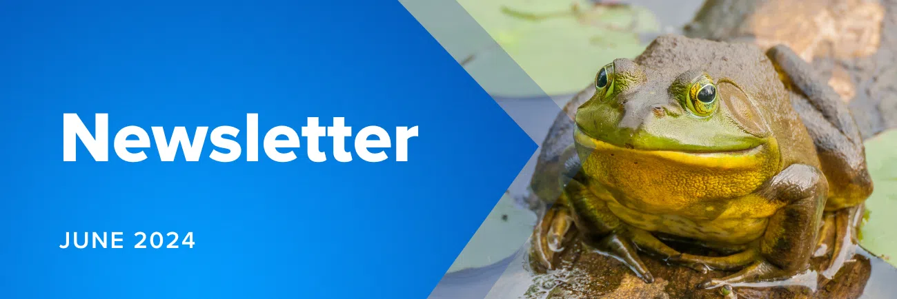 June 2024 Newsletter Website Banner (1300 × 434 Px) - MicroAccounting