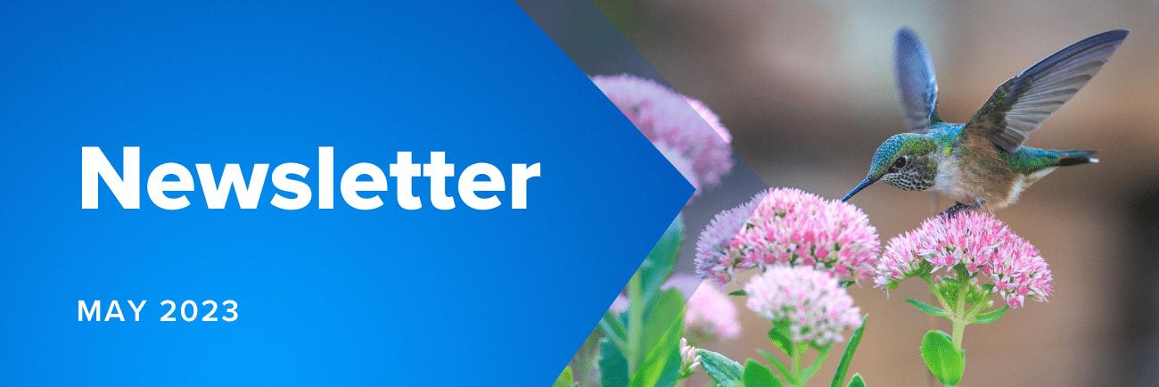 May Newsletter Website Banner (1300 × 434 Px) - MicroAccounting