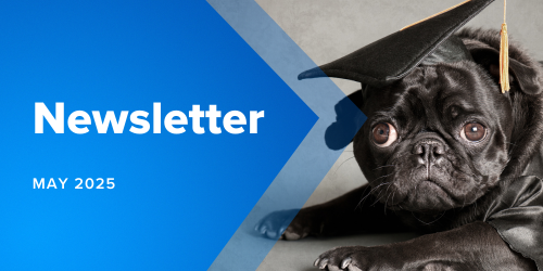 Newsletter Images 500 X 250 (21) - MicroAccounting