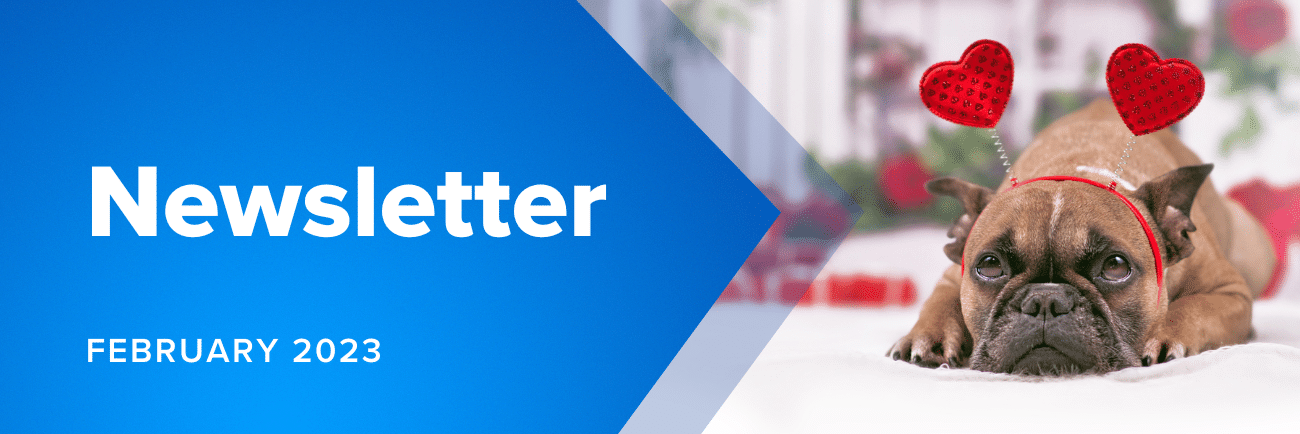 Feb 2022 Newsletter Banner - MicroAccounting