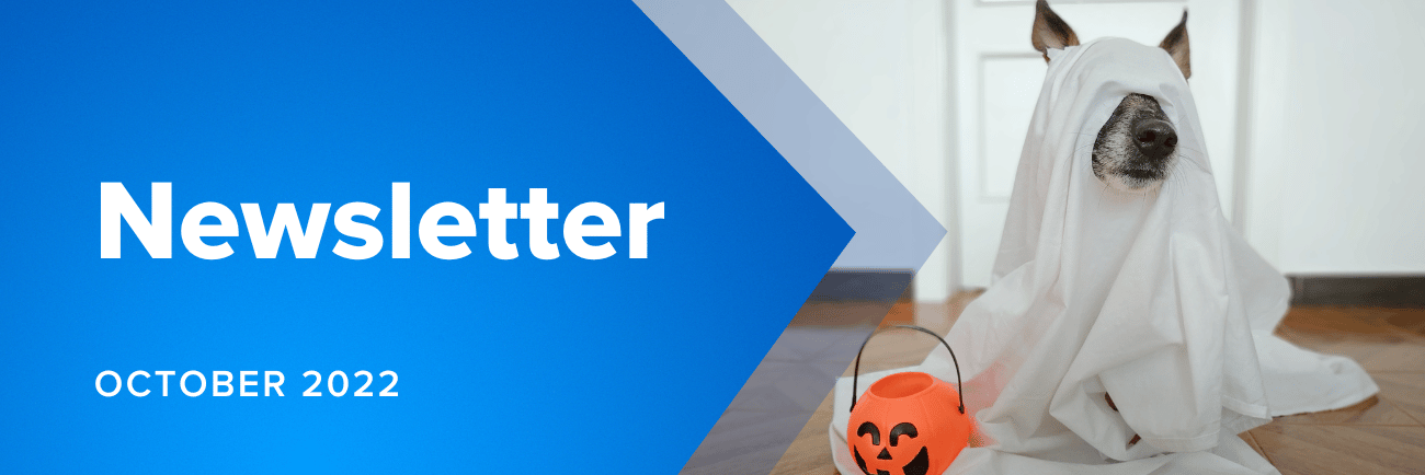 Newsletter Website Banner 1300 × 434 Px - MicroAccounting