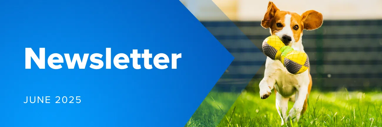Newsletter Website Header (8) - MicroAccounting