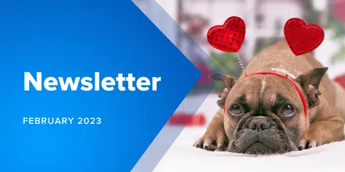 Newsletter Website Thumbnail 500 × 250 Px 1 - MicroAccounting