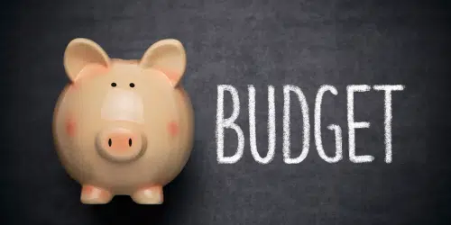 Budget - MicroAccounting