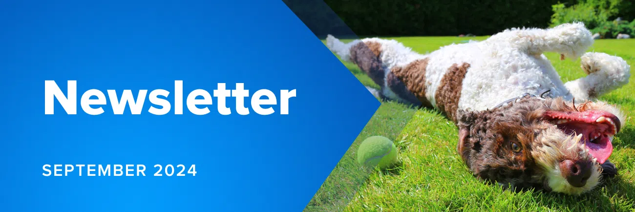Sept 2024 Newsletter Website Banner (1300 × 434 Px) - MicroAccounting