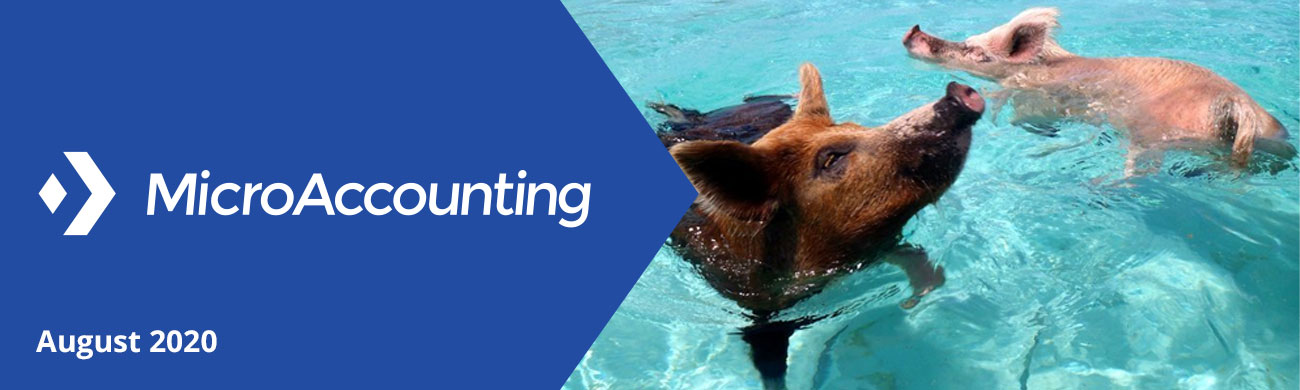 MicroAccounting August 2020 Newsletter