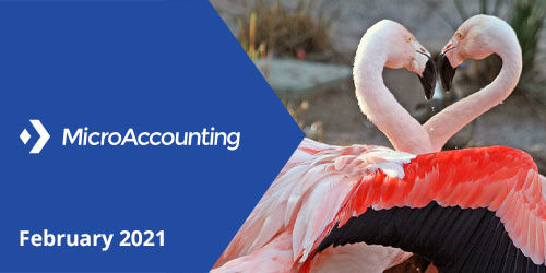 MicroAccounting Newsletter Header | February 2021 - Micro Accounting.webp