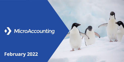 Newsletter Mini Header February-2022 - Micro Accounting.webp