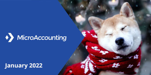Newsletter Mini Header January-2022 - Micro Accounting.webp