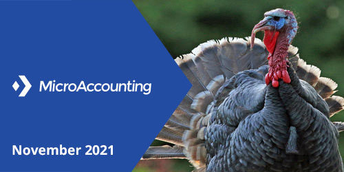 Newsletter Mini Header November-2021 - Micro Accounting.webp