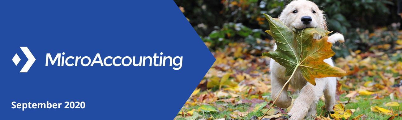 MicroAccounting September 2020 Newsletter