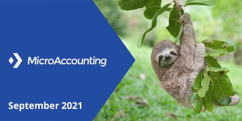 Newsletter Header Thumb September 2021 - Micro Accounting.webp