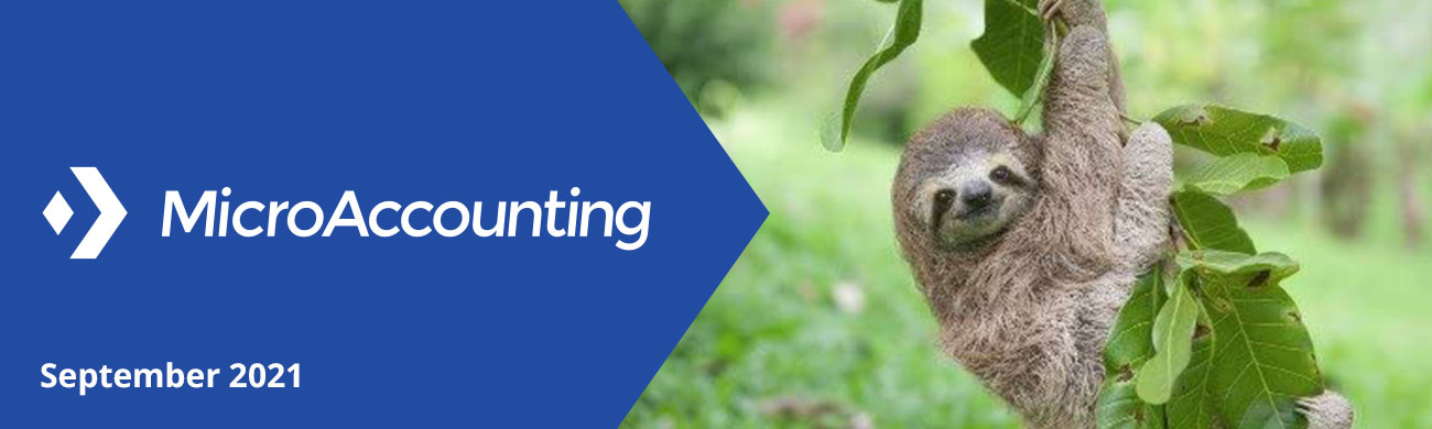 Ma-newsletter-header-september-2021 - Micro Accounting