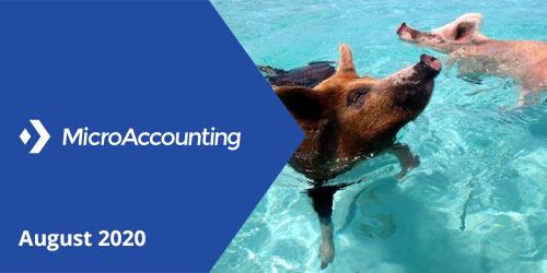 MicroAccounting August 2020 Newsletter - Micro Accounting.webp