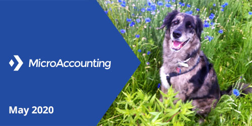 MicroAccounting May 2020 Newsletter - Micro Accounting.webp