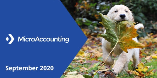 MicroAccounting September 2020 Newsletter - Micro Accounting