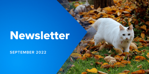Microaccounting Newsletter Header September 2022 Thumbnail - MicroAccounting