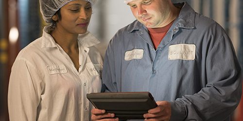 Guide: Make Your Financial Management System Work Smarter | MicroAccounting